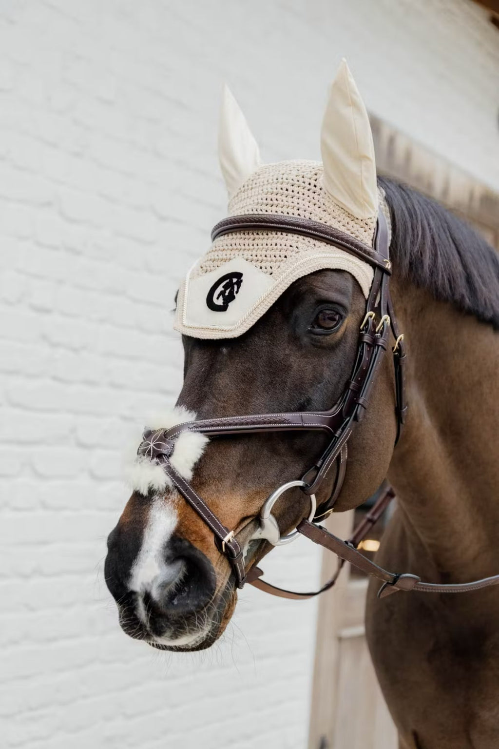 Dyon Plaited Figure 8 Noseband Bridle D Collection - Løwenborg - Dy'on