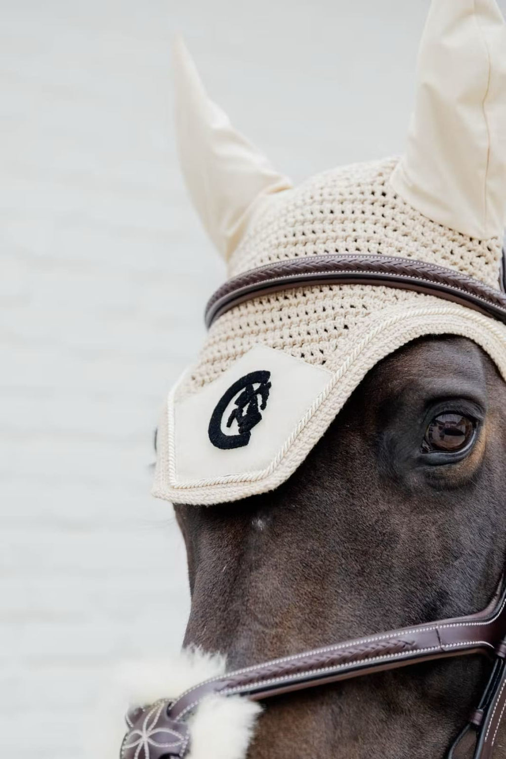 Dyon Plaited Figure 8 Noseband Bridle D Collection - Løwenborg - Dy'on