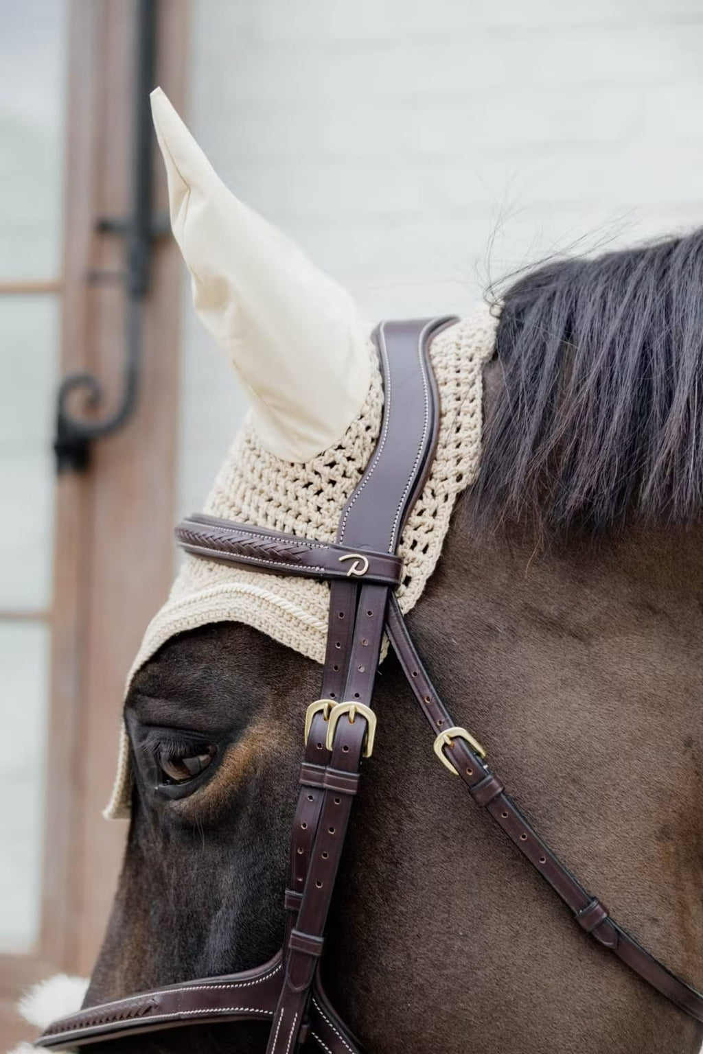 Dyon Plaited Figure 8 Noseband Bridle D Collection - Løwenborg - Dy'on