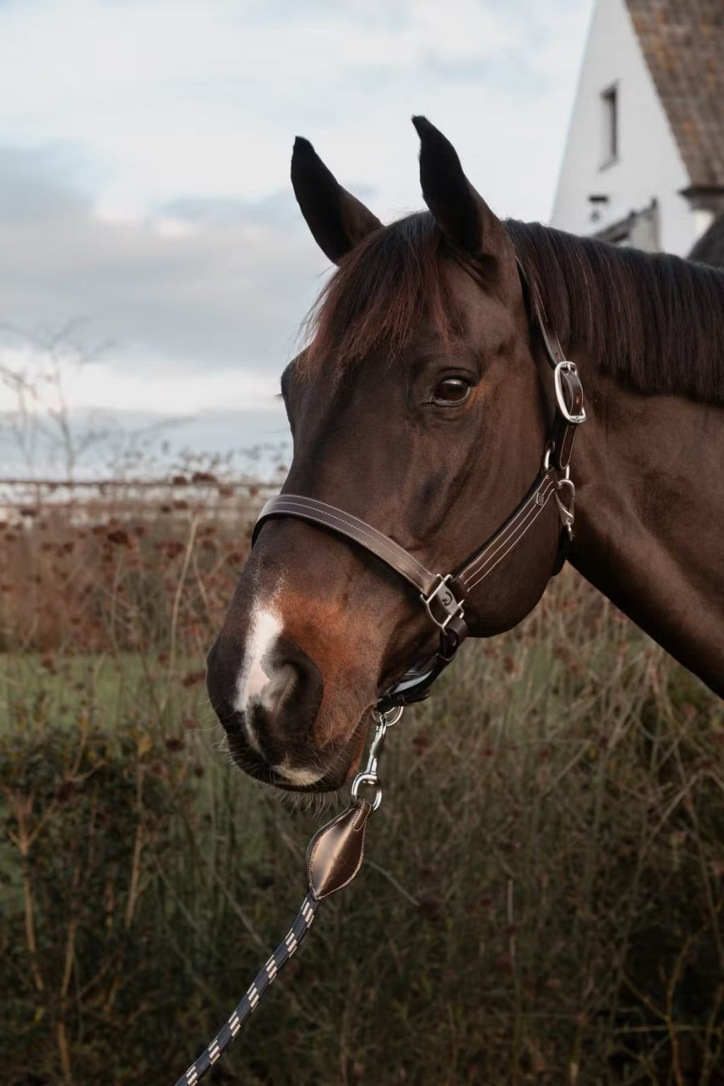 Dyon US Halter With Adjustment Working By Dyon - Løwenborg - Dy'on