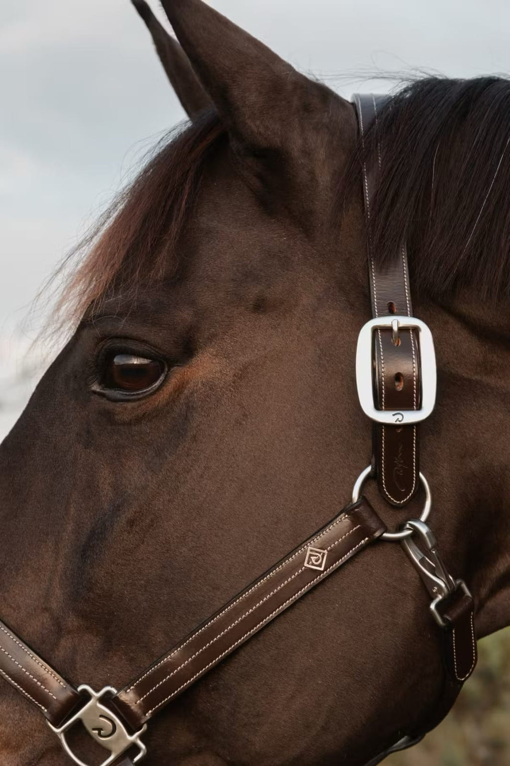 Dyon US Halter With Adjustment Working By Dyon - Løwenborg - Dy'on
