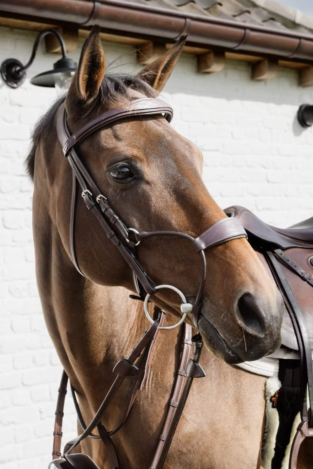 Dyon Hybrid Noseband Bridle New English Collection - Løwenborg - Dy'on