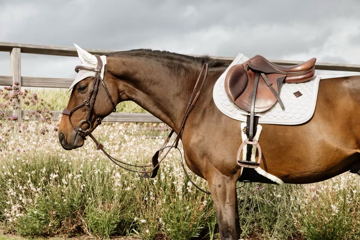 Dyon Hybrid Noseband Bridle New English Collection
