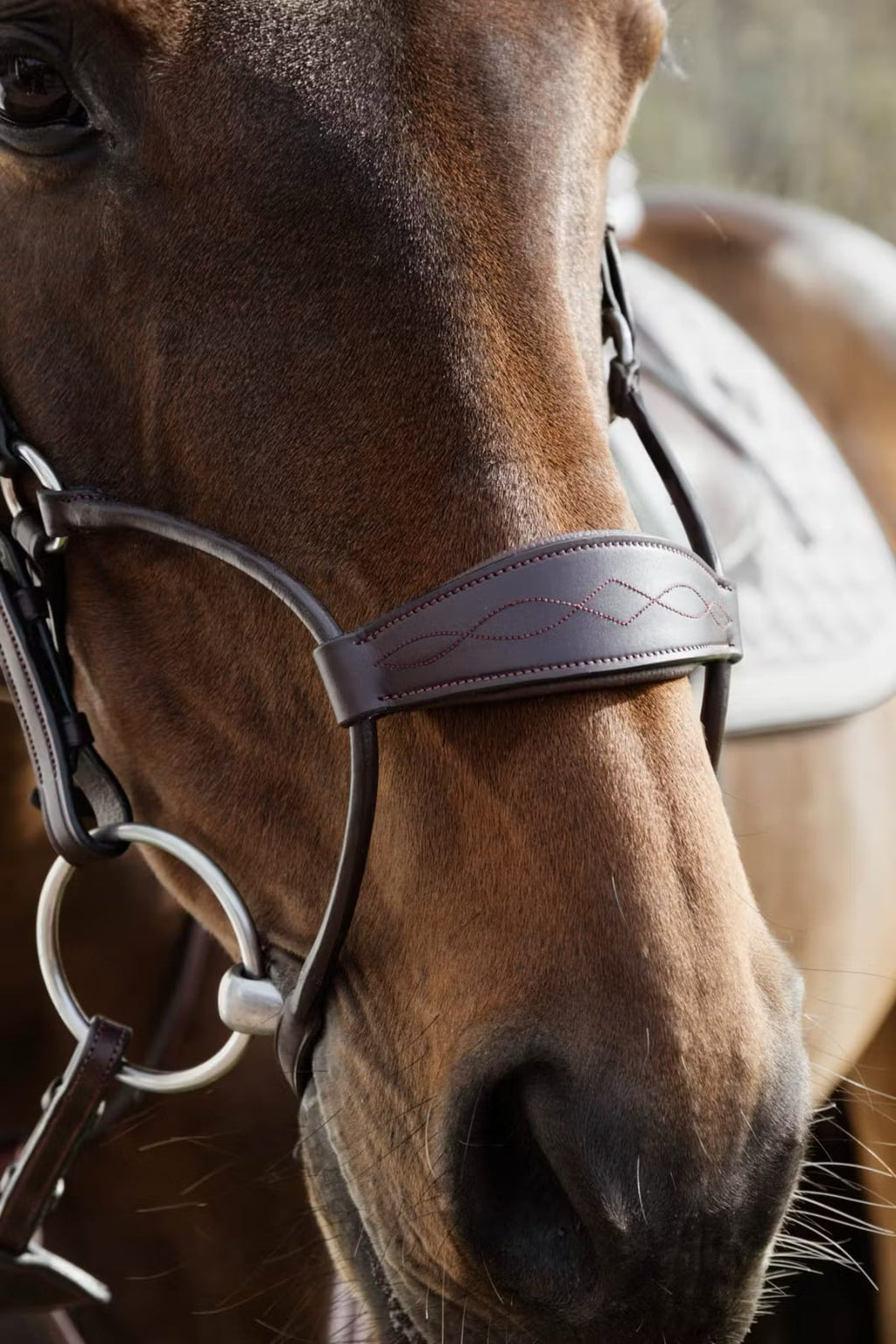 Dyon Hybrid Noseband Bridle New English Collection - Løwenborg - Dy'on