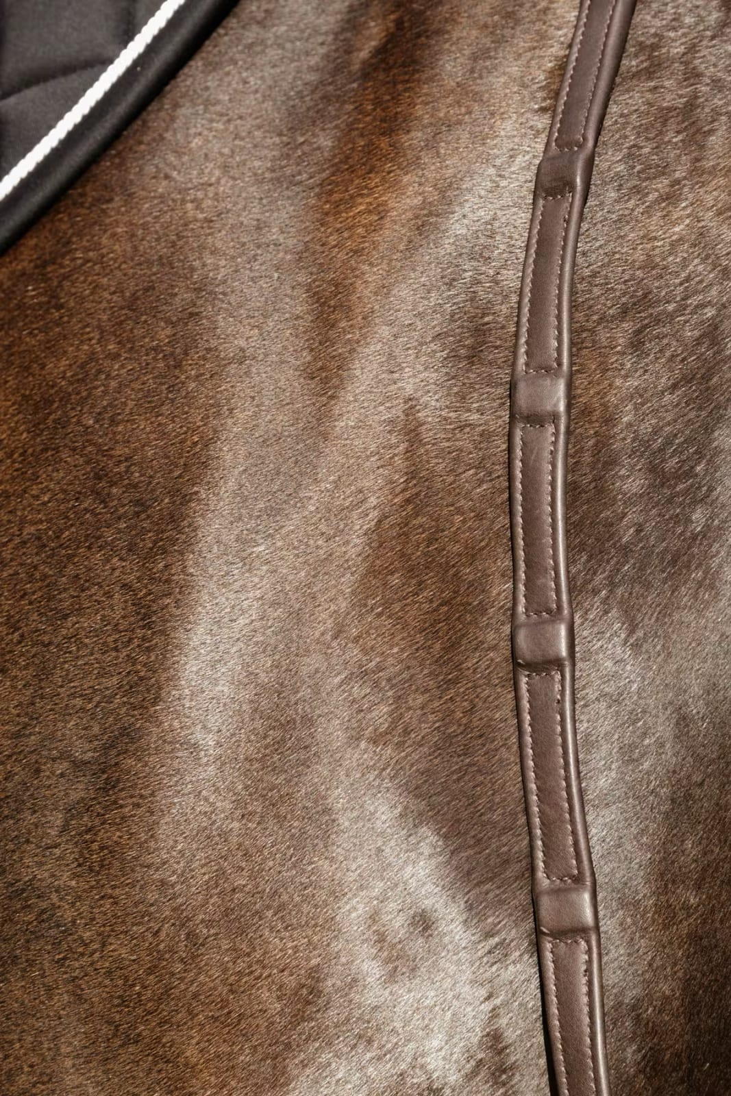 Dyon 13mm Soft Leather Reins w/8 Integrated Stoppers Working By Dyon