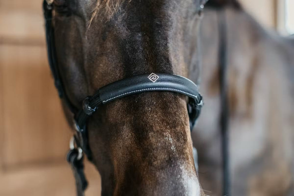 Dyon Bitless Bridle Working By Dyon - Løwenborg - Dy'on