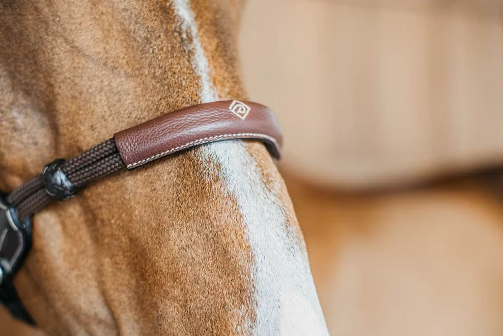 Dyon Bitless Bridle Working By Dyon - Løwenborg - Dy'on