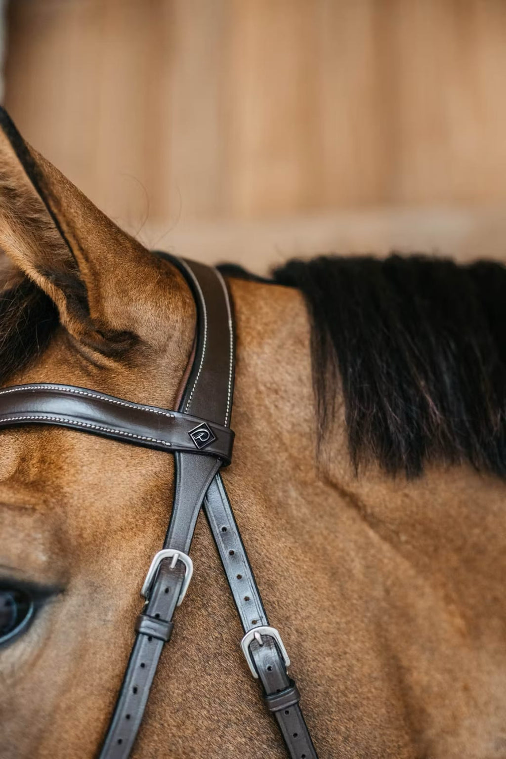 Dyon Bitless Bridle Working By Dyon - Løwenborg - Dy'on