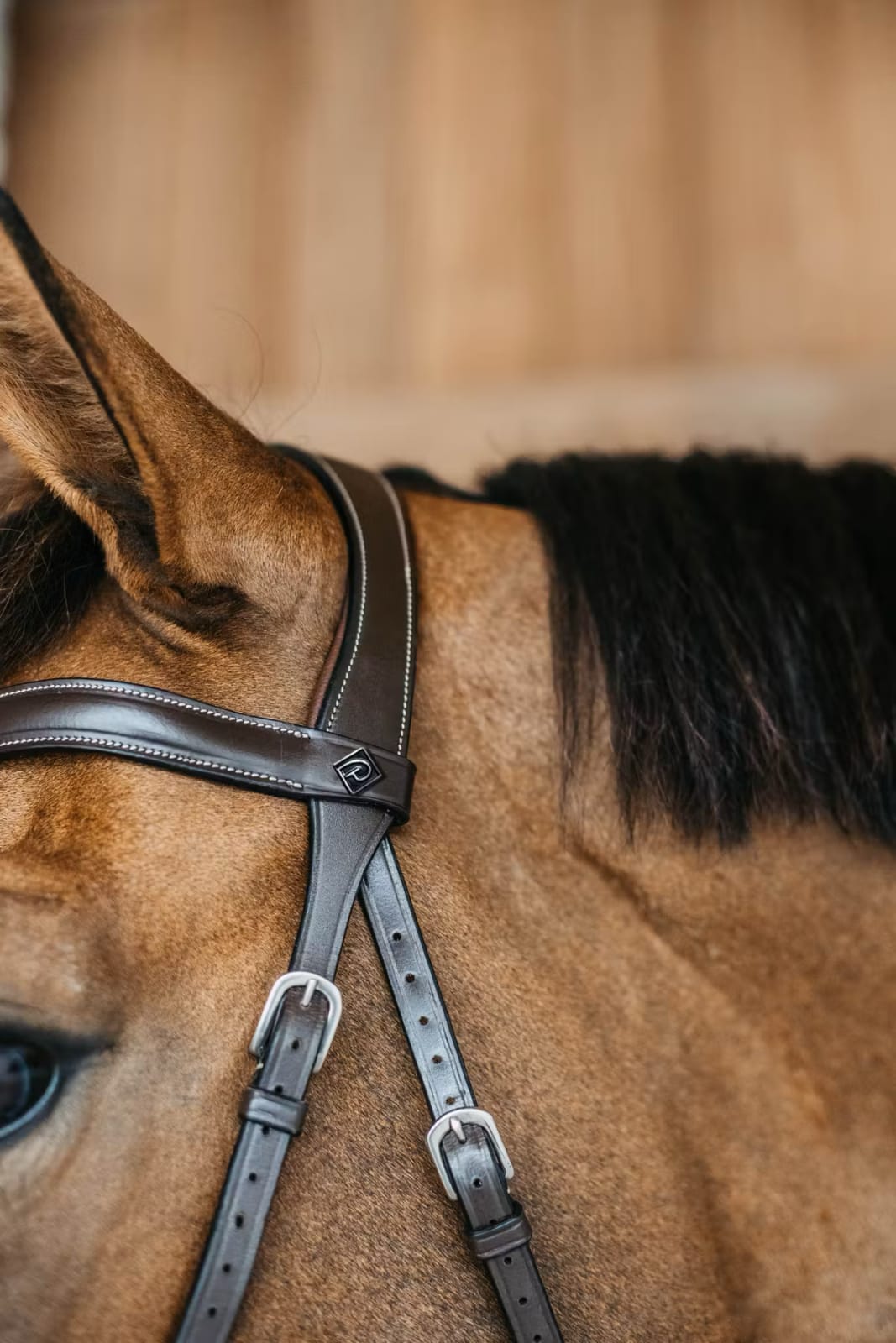 Dyon Bitless Bridle Working By Dyon - Løwenborg - Dy'on