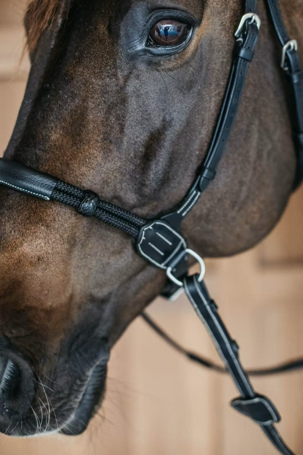 Dyon Bitless Bridle Working By Dyon - Løwenborg - Dy'on