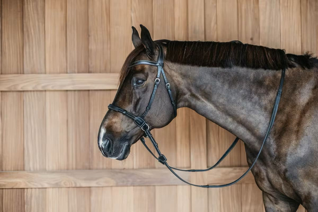 Dyon Bitless Bridle Working By Dyon - Løwenborg - Dy'on