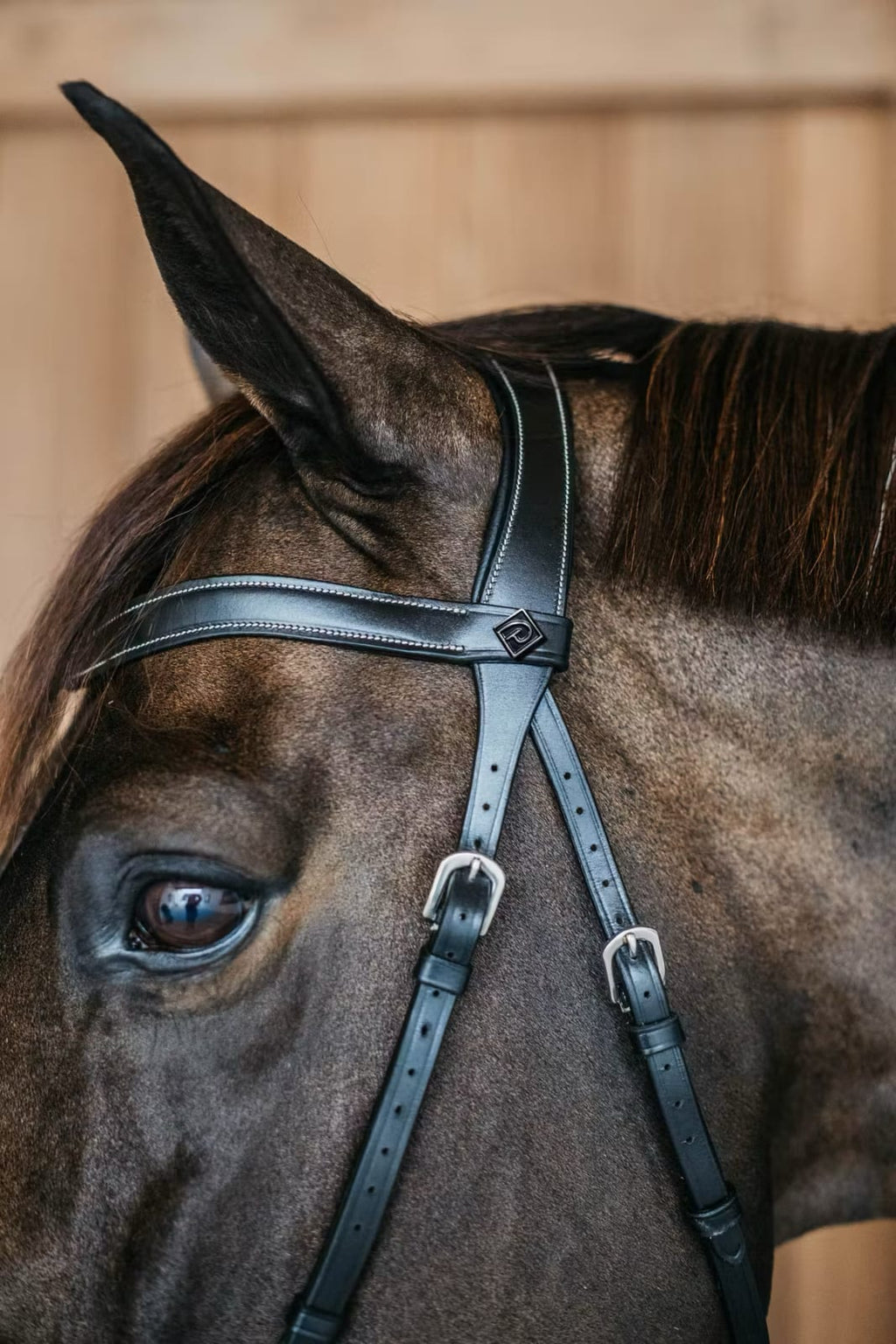 Dyon Bitless Bridle Working By Dyon - Løwenborg - Dy'on