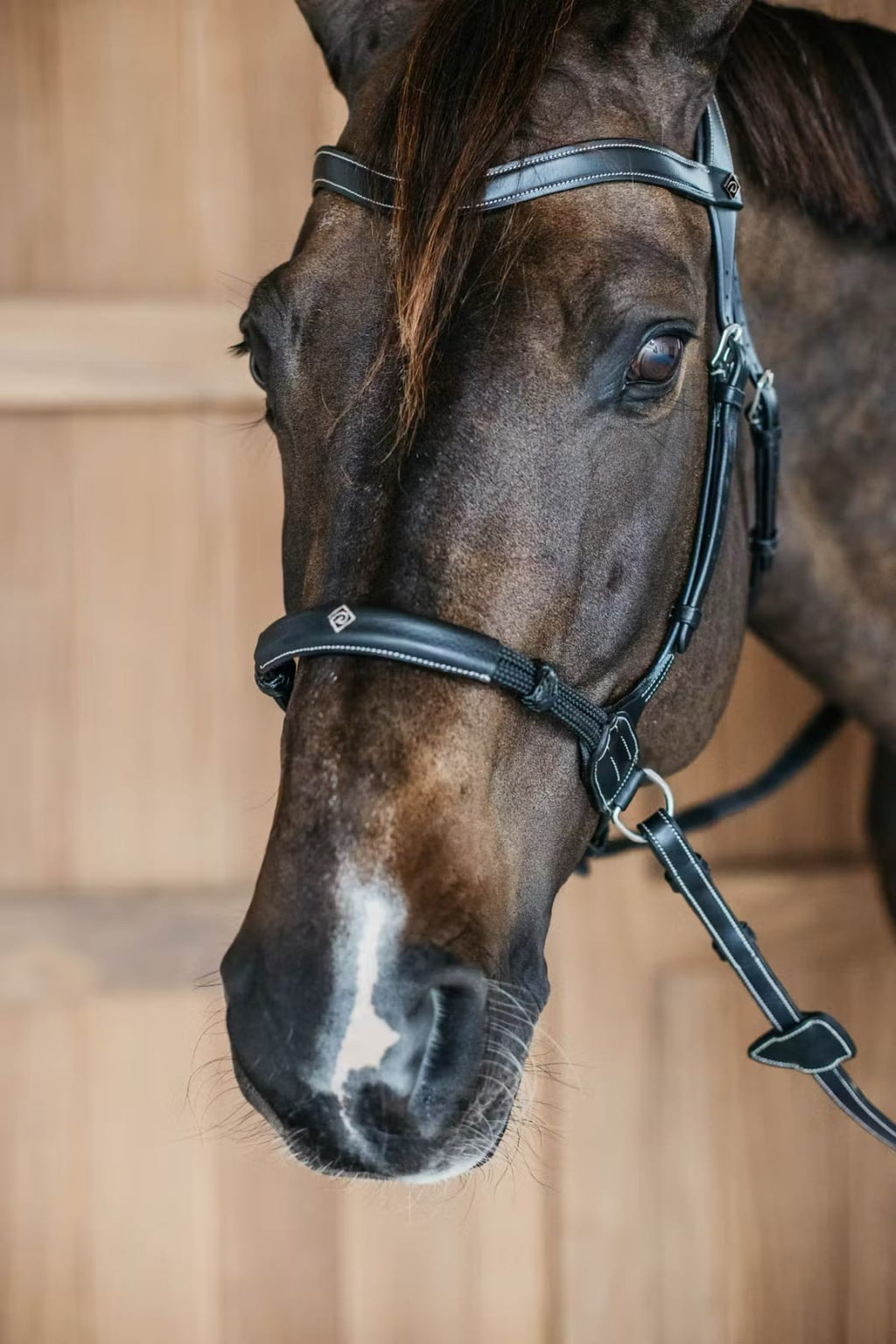Dyon Bitless Bridle Working By Dyon - Løwenborg - Dy'on