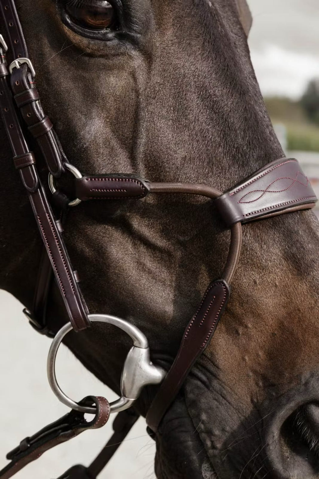 Dyon Elastic Hybrid Noseband Bridle New English Collection - Løwenborg - Dy'on