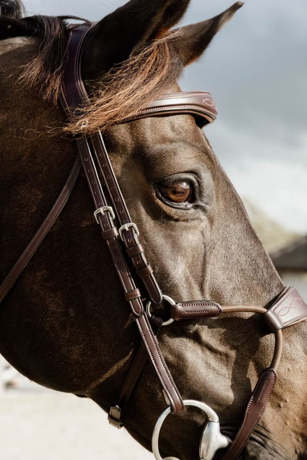 Dyon Elastic Hybrid Noseband Bridle New English Collection - Løwenborg - Dy'on