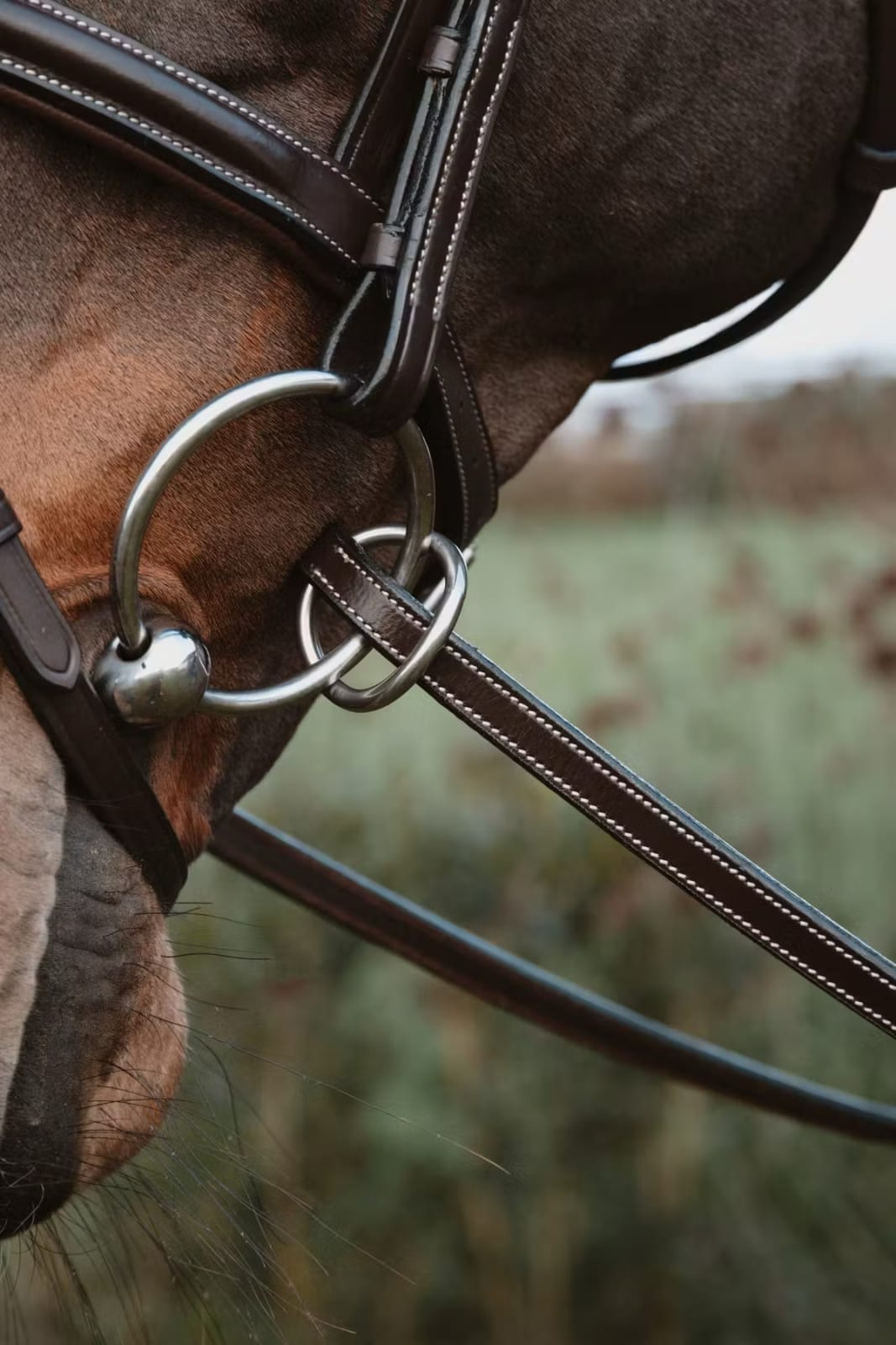 Dyon 13mm Rubber Reins w/7 Leather Loops Ring Closure Working By Dyon