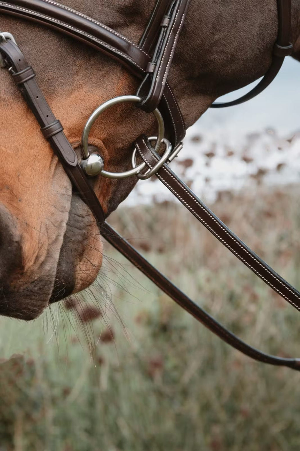 Dyon 13mm Rubber Reins w/7 Leather Loops Ring Closure Working By Dyon - Løwenborg - Dy'on