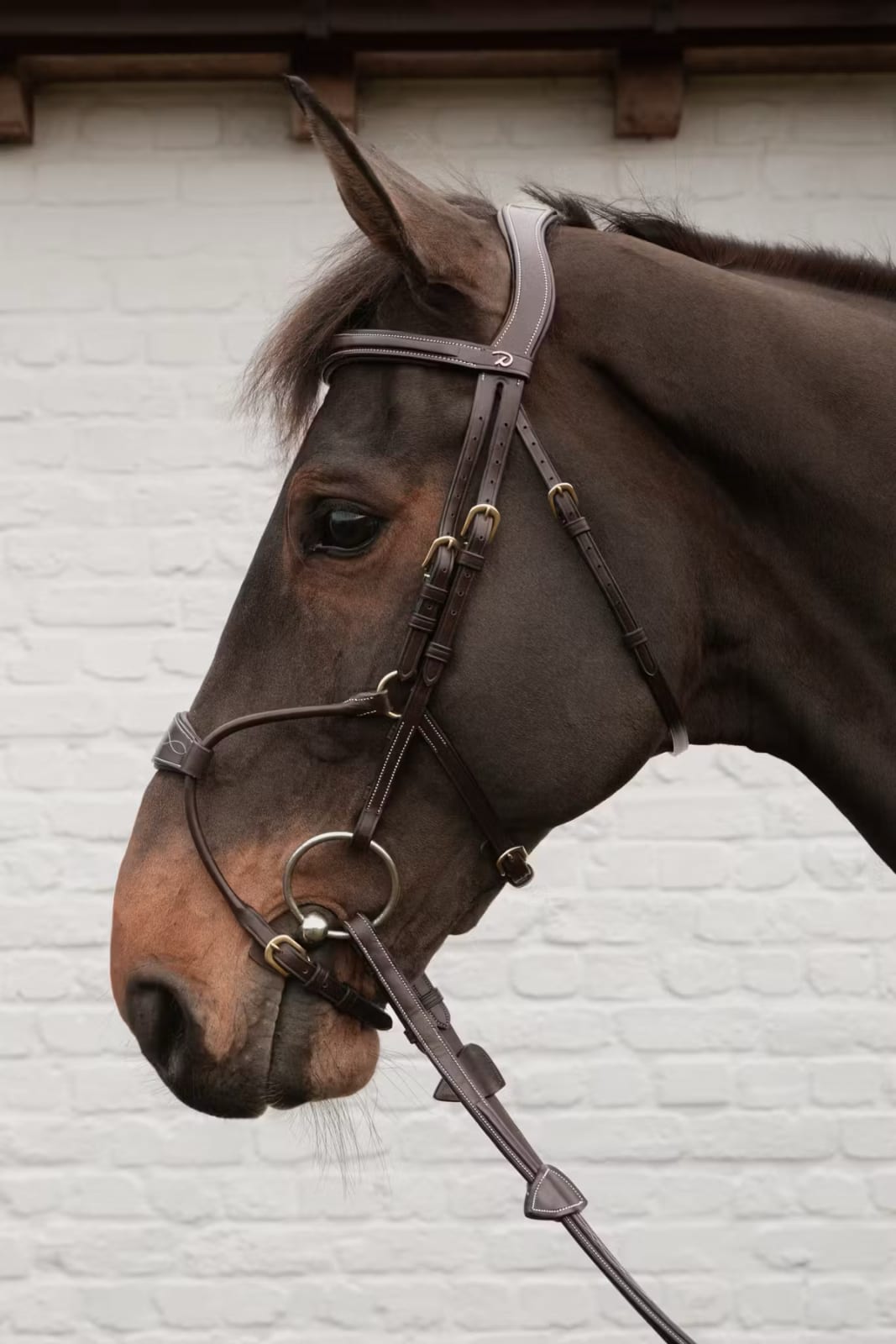 Dyon Hybrid Noseband Bridle D Collection - Løwenborg - Dy'on