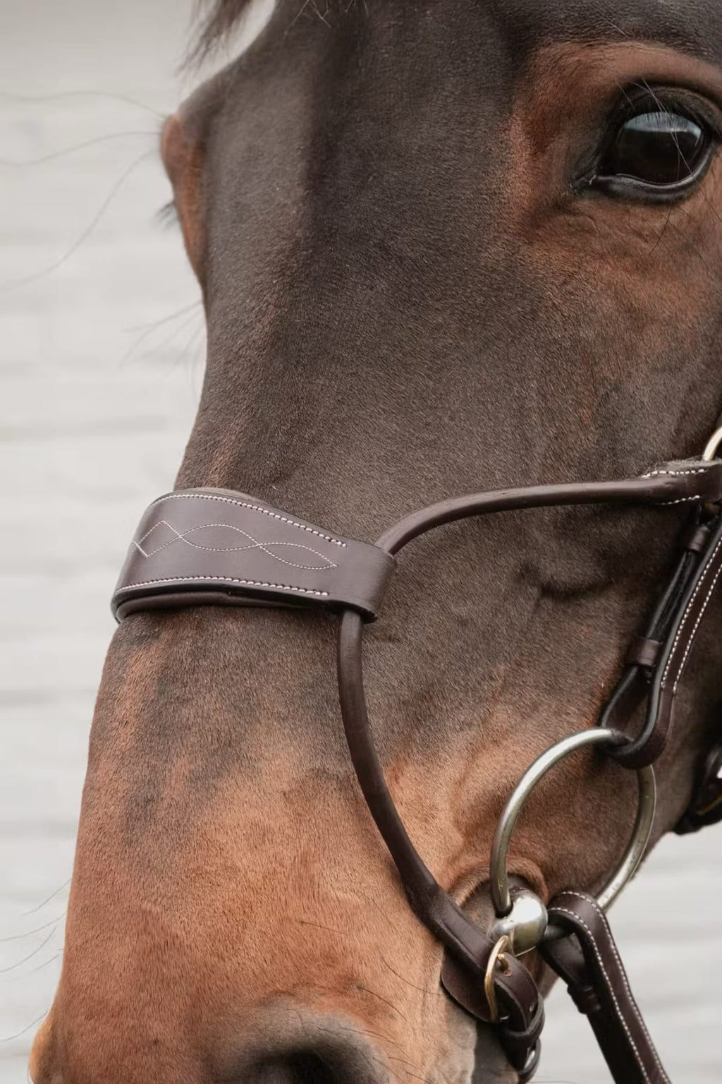 Dyon Hybrid Noseband Bridle D Collection - Løwenborg - Dy'on