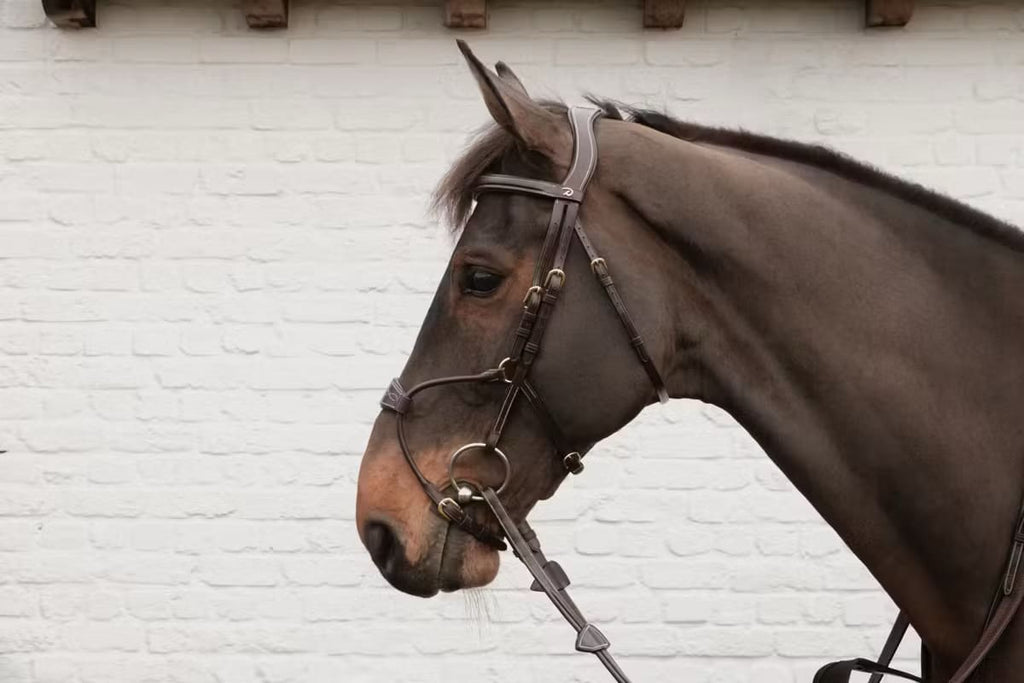 Dyon Hybrid Noseband Bridle D Collection - Løwenborg - Dy'on