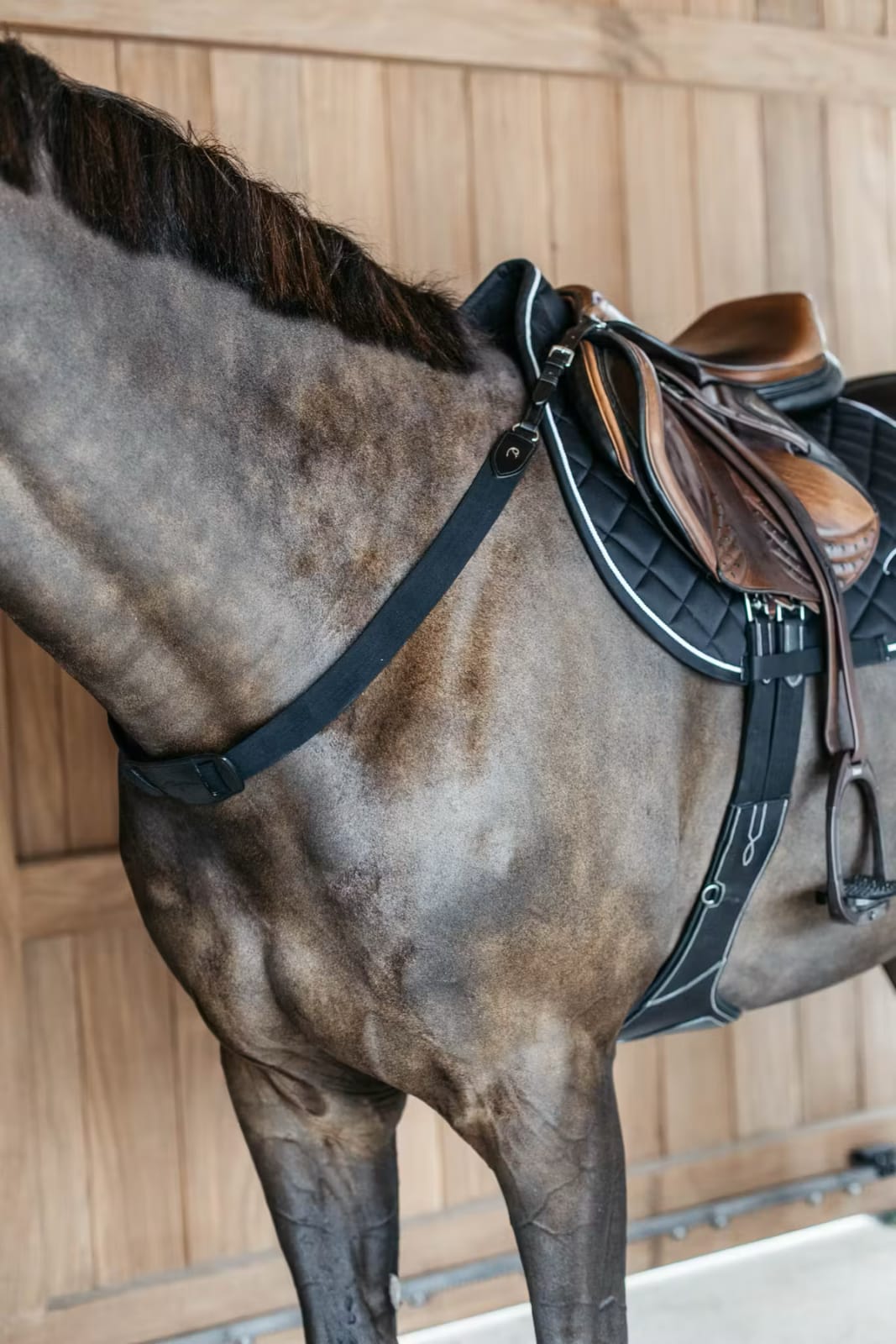 Dyon Elastic Breastplate New English Collection - Løwenborg - Dy'on