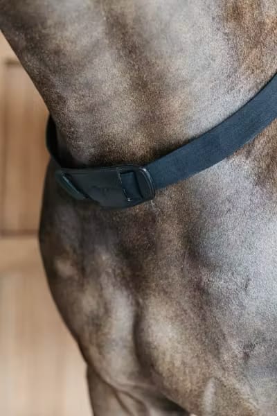 Dyon Elastic Breastplate New English Collection - Løwenborg - Dy'on