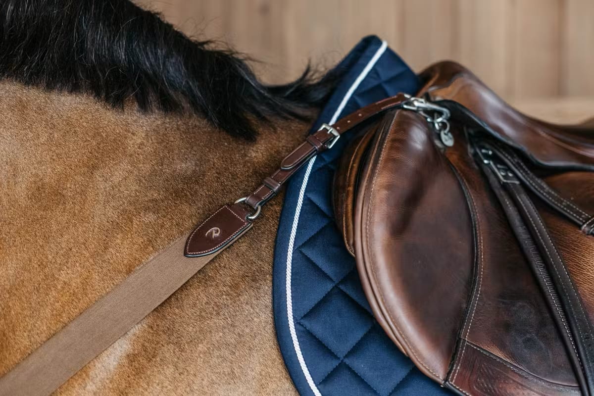 Dyon Elastic Breastplate New English Collection - Løwenborg - Dy'on