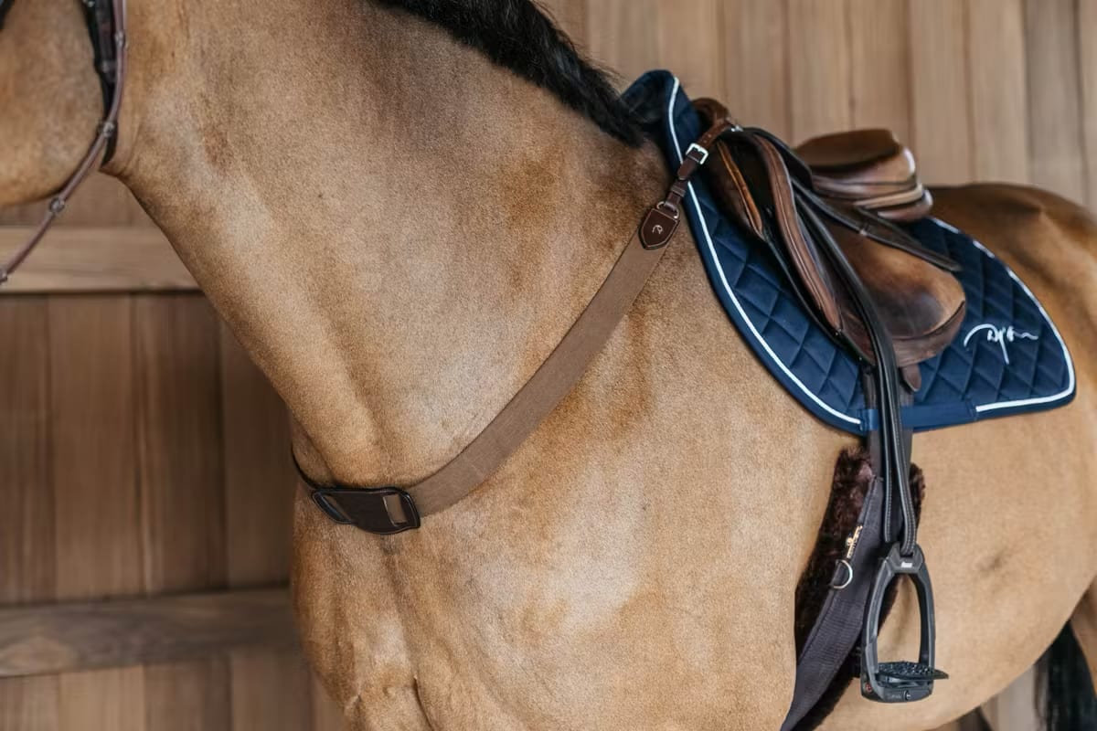 Dyon Elastic Breastplate New English Collection - Løwenborg - Dy'on