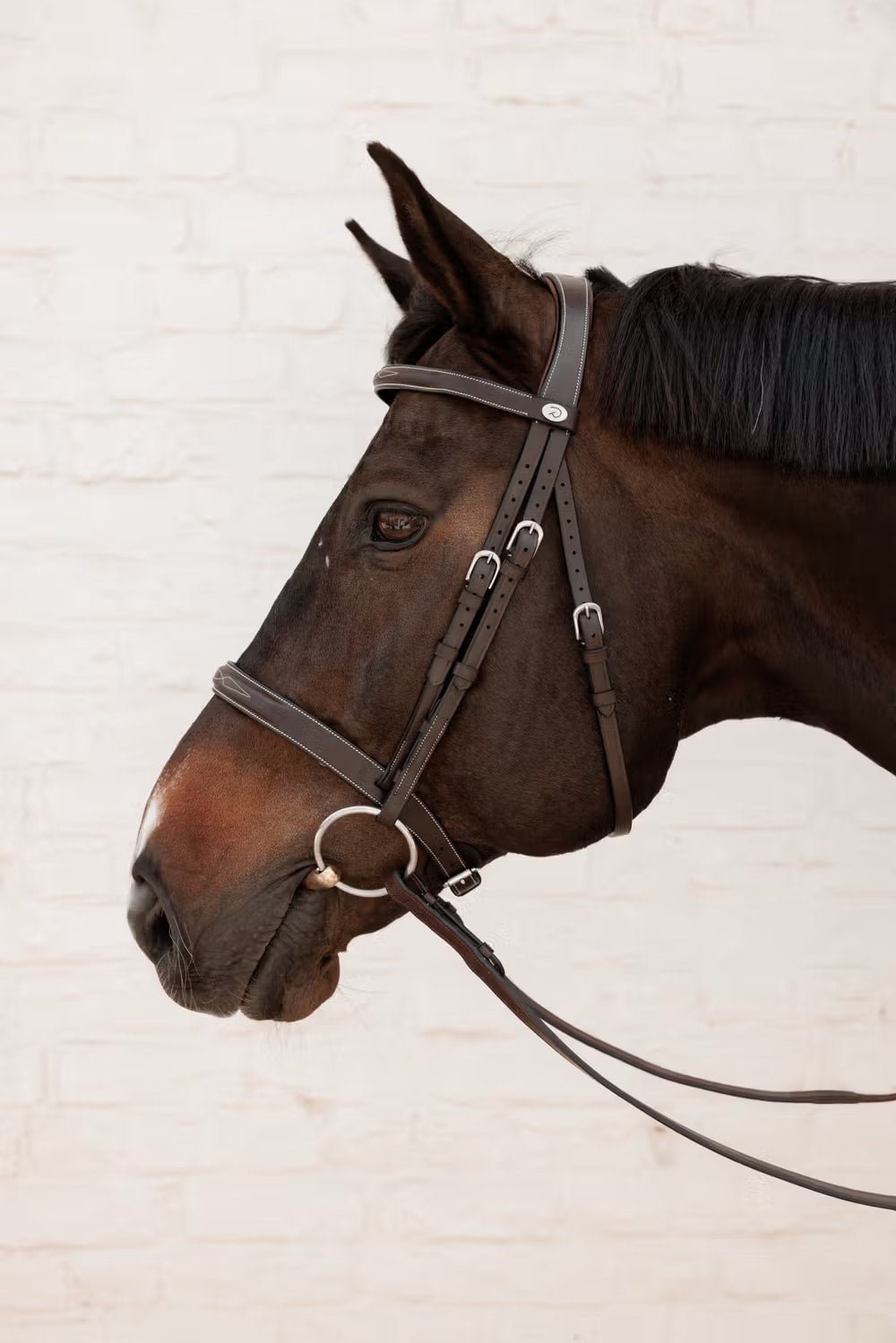 Dyon Cavesson Hunter Bridle Working By Dyon - Løwenborg - Dy'on