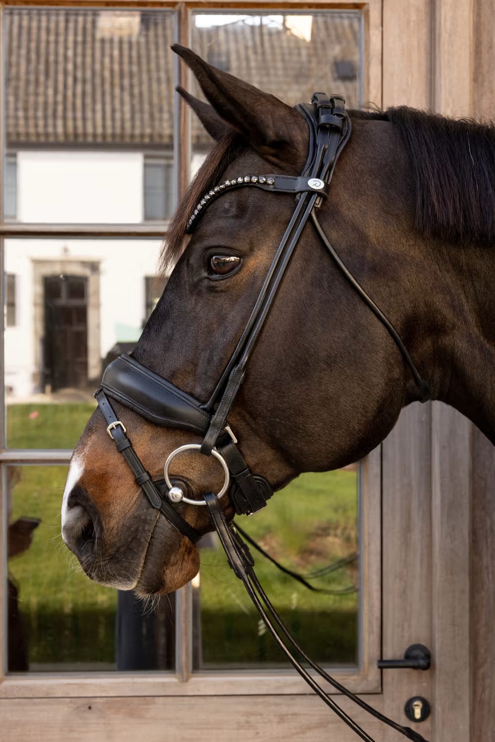 Dyon ComfoHead Bridle Working By Dyon - Løwenborg - Dy'on