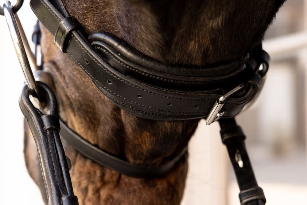 Dyon ComfoHead Bridle Working By Dyon - Løwenborg - Dy'on