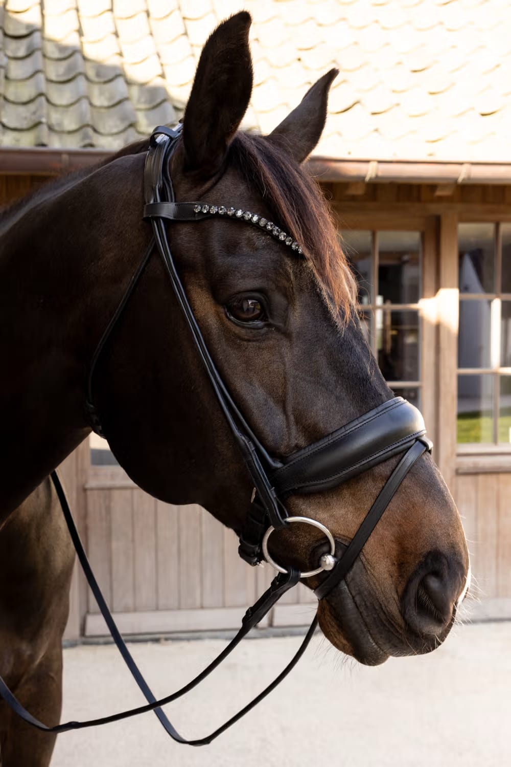 Dyon ComfoHead Bridle Working By Dyon - Løwenborg - Dy'on