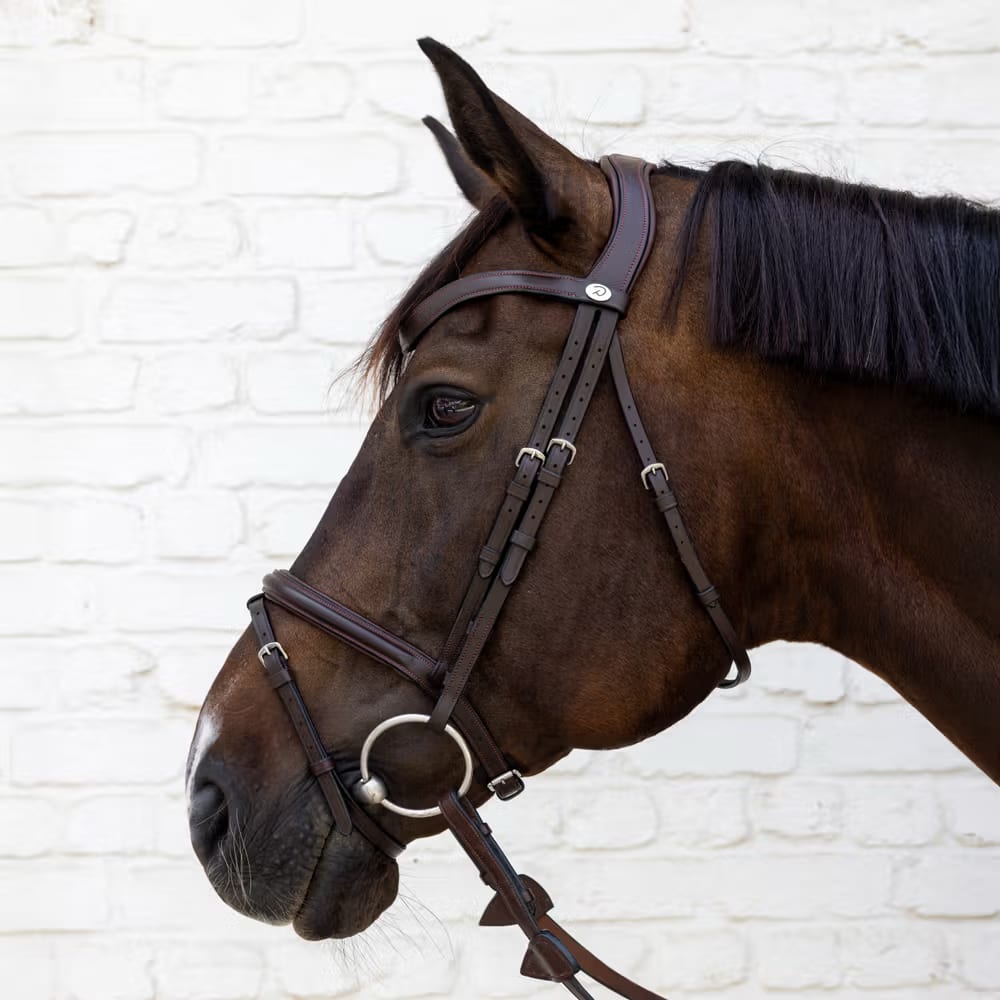 Dyon Flash Noseband Bridle Soft Leather Collection - Løwenborg - Dy'on