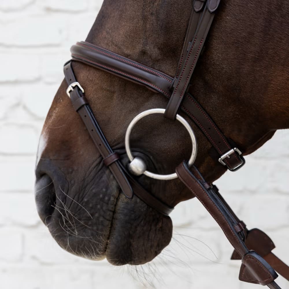 Dyon Flash Noseband Bridle Soft Leather Collection