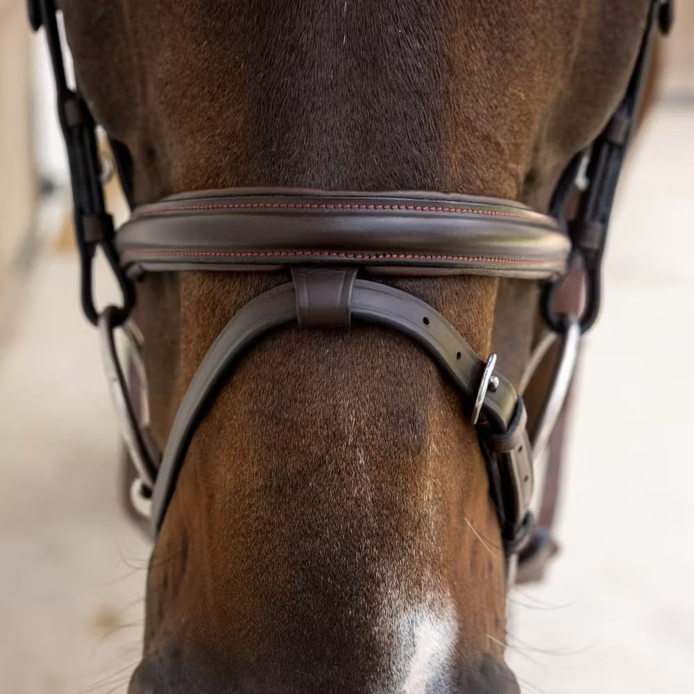 Dyon Flash Noseband Bridle Soft Leather Collection - Løwenborg - Dy'on