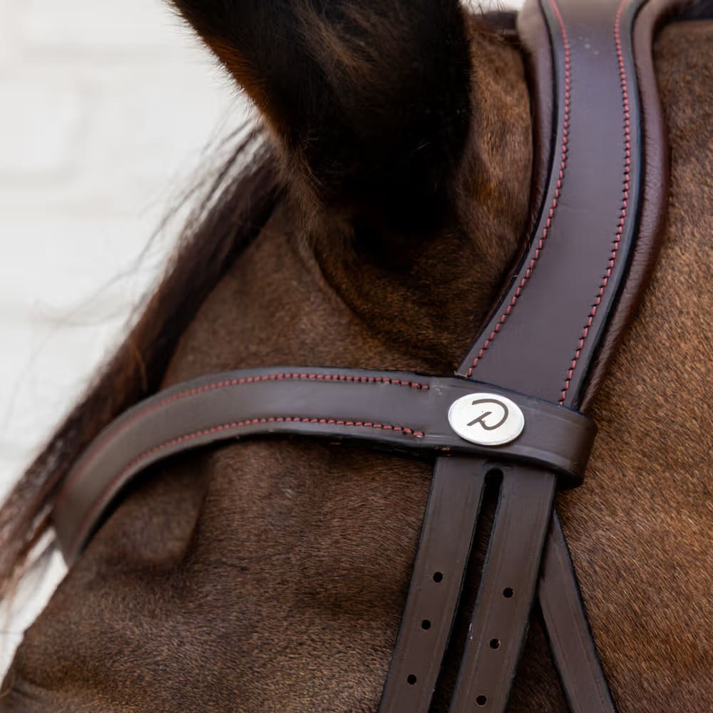 Dyon Flash Noseband Bridle Soft Leather Collection - Løwenborg - Dy'on