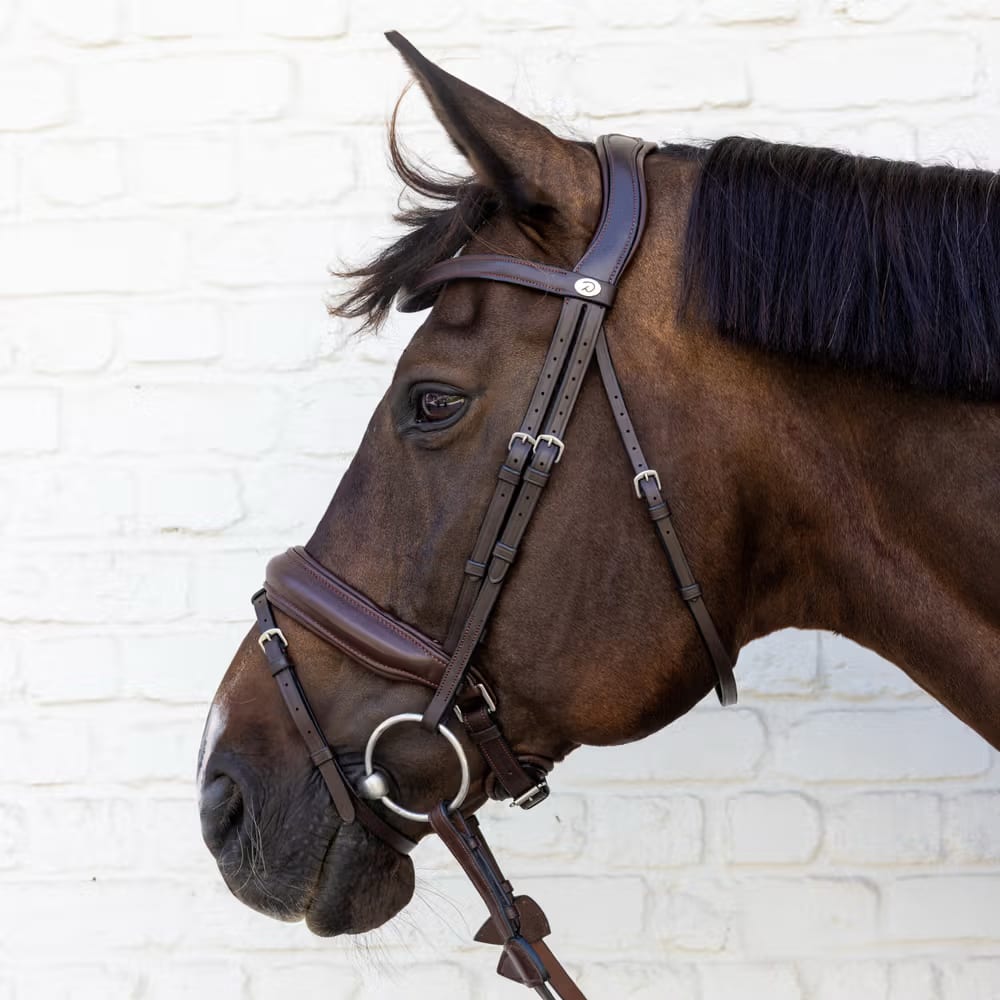 Dyon Medium Noseband Bridle Soft Leather Collection - Løwenborg - Dy'on