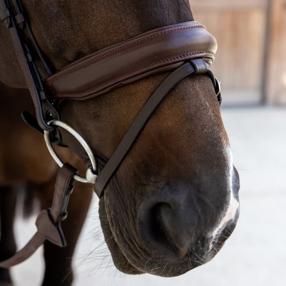 Dyon Medium Noseband Bridle Soft Leather Collection - Løwenborg - Dy'on