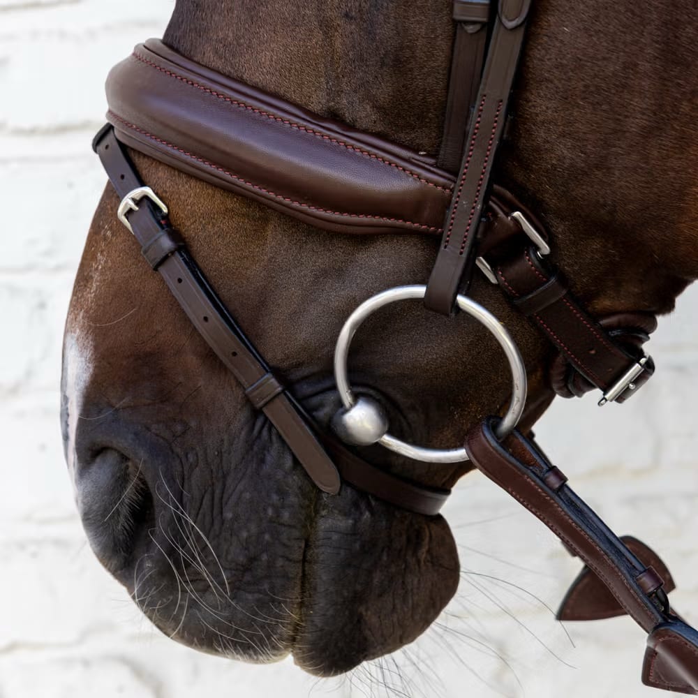 Dyon Medium Noseband Bridle Soft Leather Collection - Løwenborg - Dy'on
