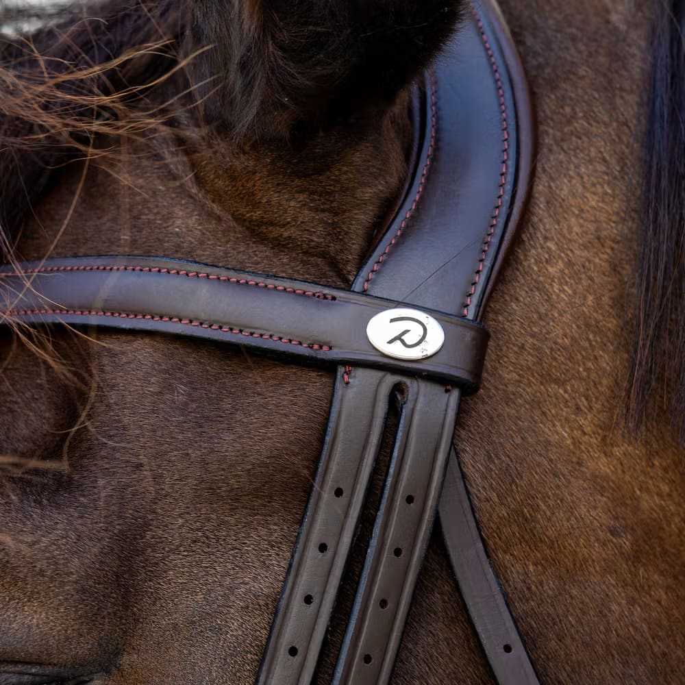Dyon Medium Noseband Bridle Soft Leather Collection - Løwenborg - Dy'on
