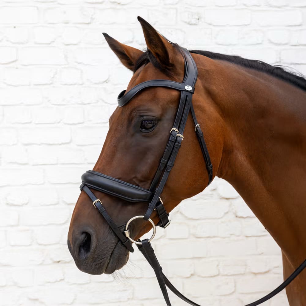 Dyon Medium Noseband Bridle Soft Leather Collection - Løwenborg - Dy'on