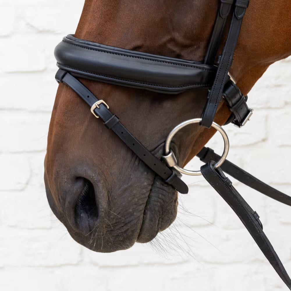 Dyon Medium Noseband Bridle Soft Leather Collection - Løwenborg - Dy'on