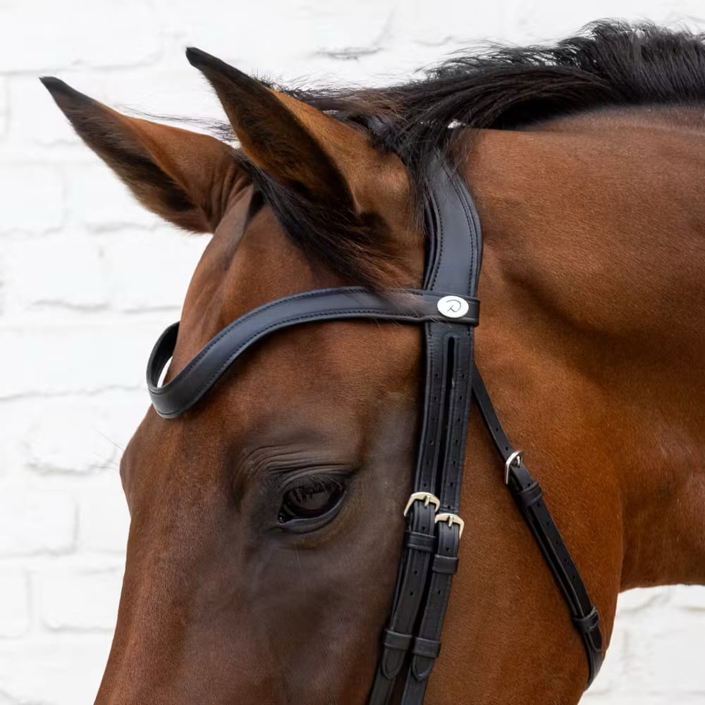 Dyon Medium Noseband Bridle Soft Leather Collection - Løwenborg - Dy'on