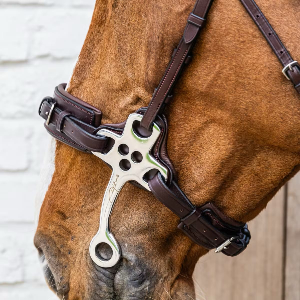 Dyon Hackamore New English Collection - Løwenborg - Dy'on