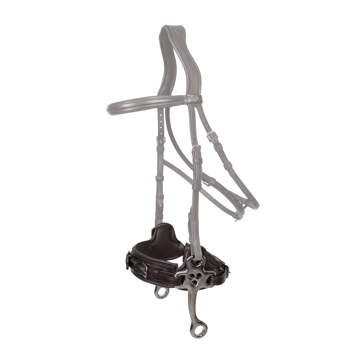 Dyon Hackamore New English Collection - Løwenborg - Dy'on