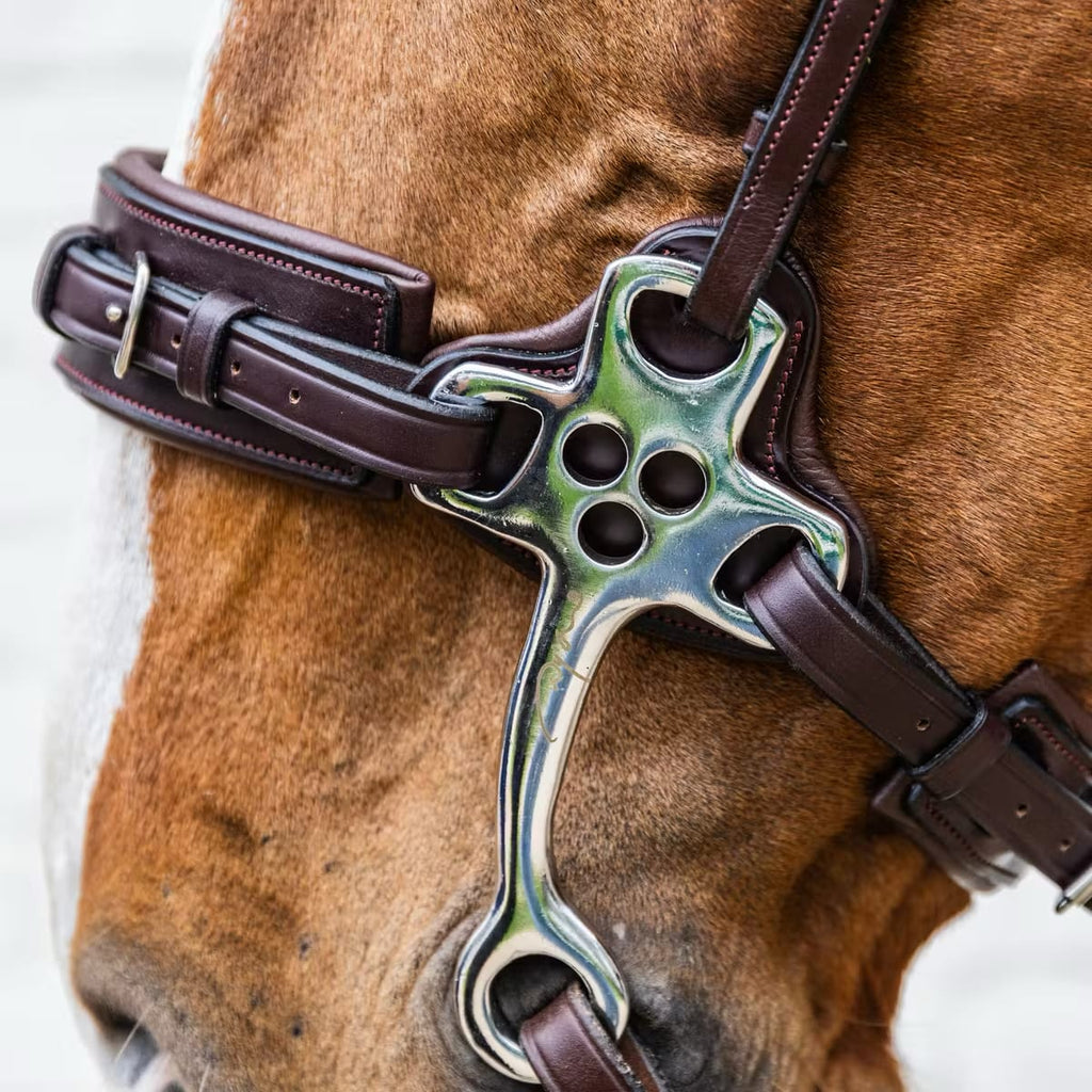 Dyon Hackamore New English Collection - Løwenborg - Dy'on
