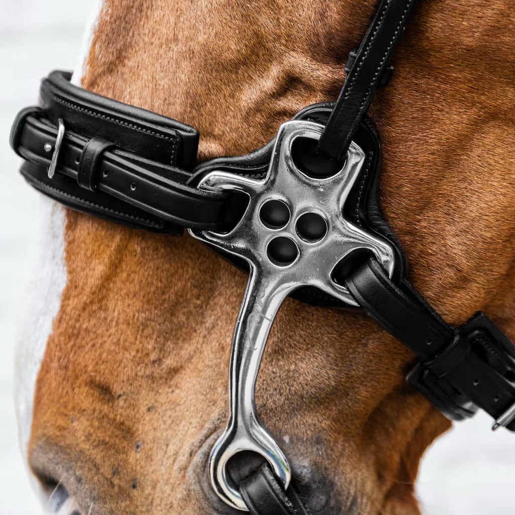 Dyon Hackamore New English Collection - Løwenborg - Dy'on