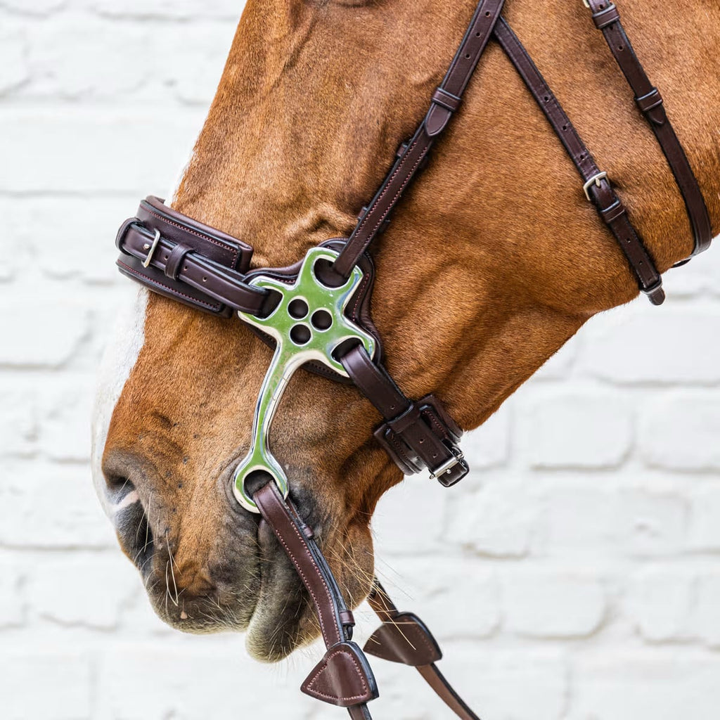 Dyon Hackamore New English Collection - Løwenborg - Dy'on