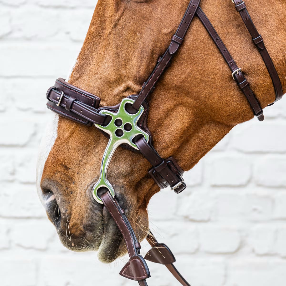 Dyon Hackamore New English Collection - Løwenborg - Dy'on