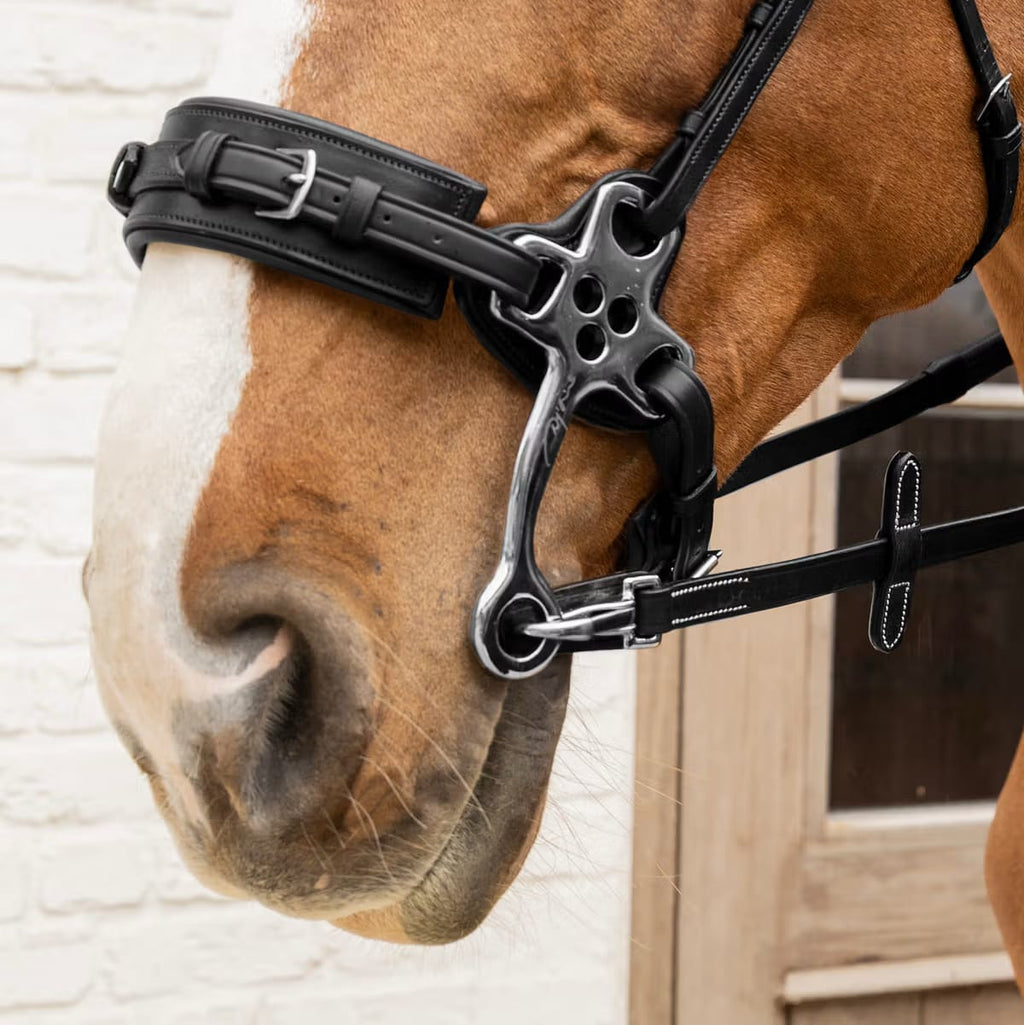 Dyon 16mm Rubber Reins w/ Leather Loops and Snap - Løwenborg - Dy'on